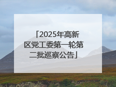 2025年高新区党工委第一轮第二批巡察公告