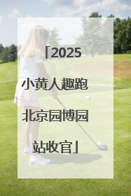 2025小黄人趣跑北京园博园站收官