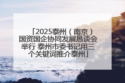 2025泰州（南京）国资国企协同发展恳谈会举行 泰州市委书记用三个关键词推介泰州