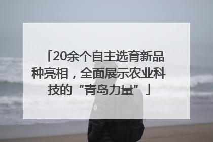 20余个自主选育新品种亮相，全面展示农业科技的“青岛力量”