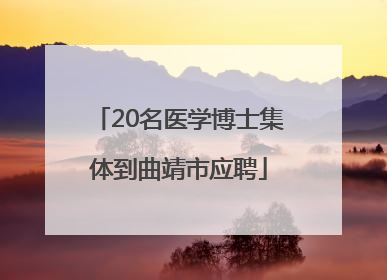 20名医学博士集体到曲靖市应聘