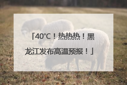 40℃！热热热！黑龙江发布高温预报！