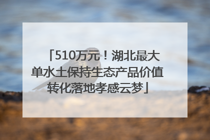 510万元！湖北最大单水土保持生态产品价值转化落地孝感云梦