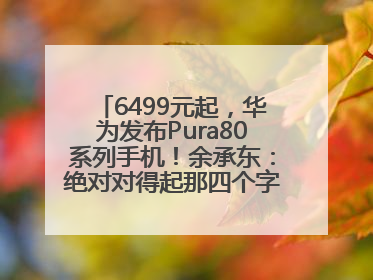 6499元起，华为发布Pura80系列手机！余承东：绝对对得起那四个字！华为近十年研发投入12490亿元