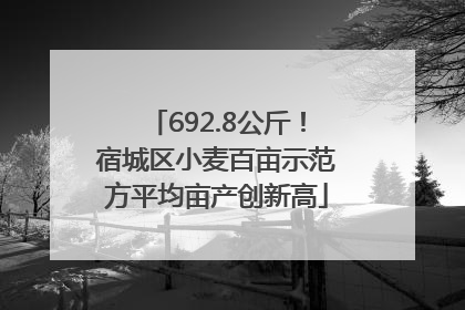 692.8公斤！宿城区小麦百亩示范方平均亩产创新高