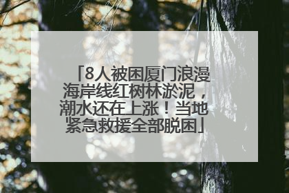 8人被困厦门浪漫海岸线红树林淤泥，潮水还在上涨！当地紧急救援全部脱困
