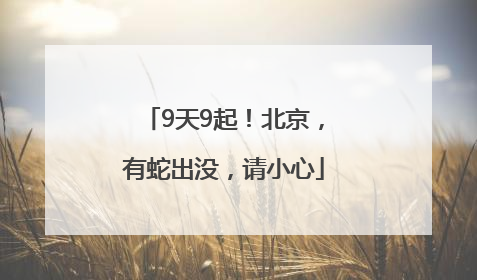9天9起！北京，有蛇出没，请小心
