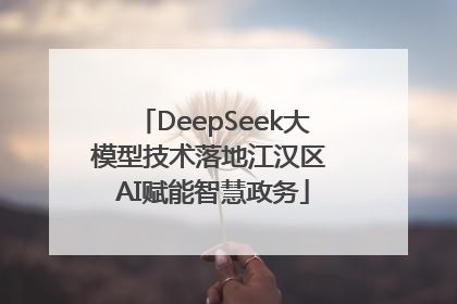 DeepSeek大模型技术落地江汉区 AI赋能智慧政务