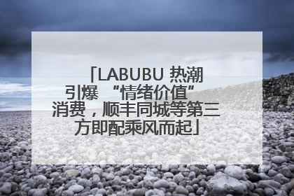 LABUBU 热潮引爆 “情绪价值” 消费，顺丰同城等第三方即配乘风而起