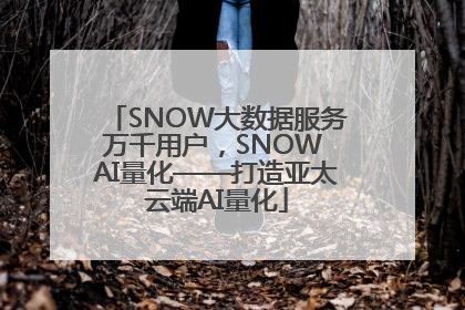 SNOW大数据服务万千用户，SNOW AI量化——打造亚太云端AI量化